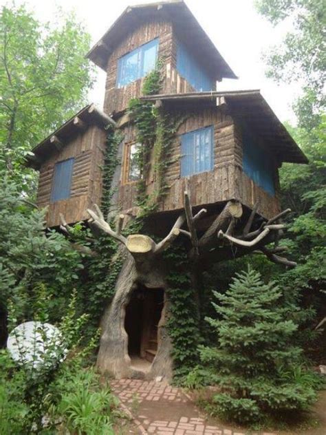 Escape to a fairytale paradise in a magical tree fort
